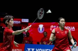 开云体育入口-马来西亚羽毛球队绝杀法国羽毛球队，马琳制霸全场的简单介绍