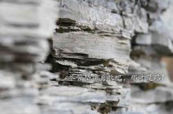 开云体育登录-沙漠之鹰折翼，黑星闪耀，加纳用一场冷血逆袭，为2026世界杯写下最狂野的注脚