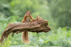 开云体育入口-绝地反击！德罗赞末节狂飙导演惊天逆转