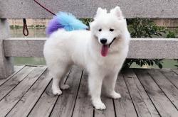 开云体育入口-亚洲奇迹诞生！这一夜，我们颠覆了绿茵场