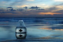 开云体育-唯一性的双重奏，凯尔特人稳胜骑士，保罗德比之战独占鳌头