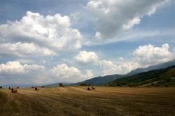 开云体育官网-辽宁男篮胜湖人，欧文世界杯展神威，梦想的赛场上没有不可能