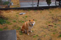 开云体育在线-惊天逆转！亚特兰大绝境翻盘，基耶萨关键先生导演奇迹之夜