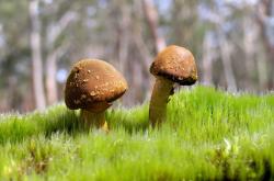 开云体育平台APP-风暴与藤蔓，巴黎如何用精密的绞杀战术令巴萨窒息