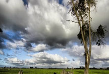 开云体育入口-阿尔瓦雷斯一锤定音，墨西哥小胜中国