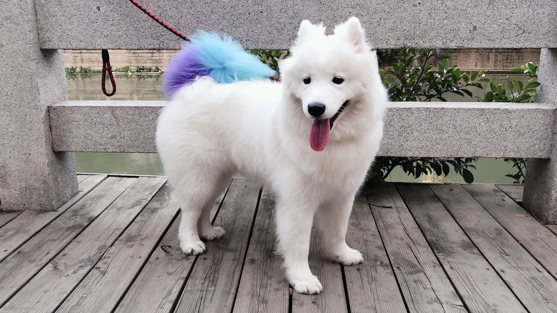 亚洲奇迹诞生！这一夜，我们颠覆了绿茵场