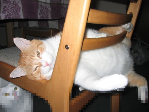 从安菲尔德的窒息到里昂的碾压，足球宇宙中偶然与必然的史诗二重奏