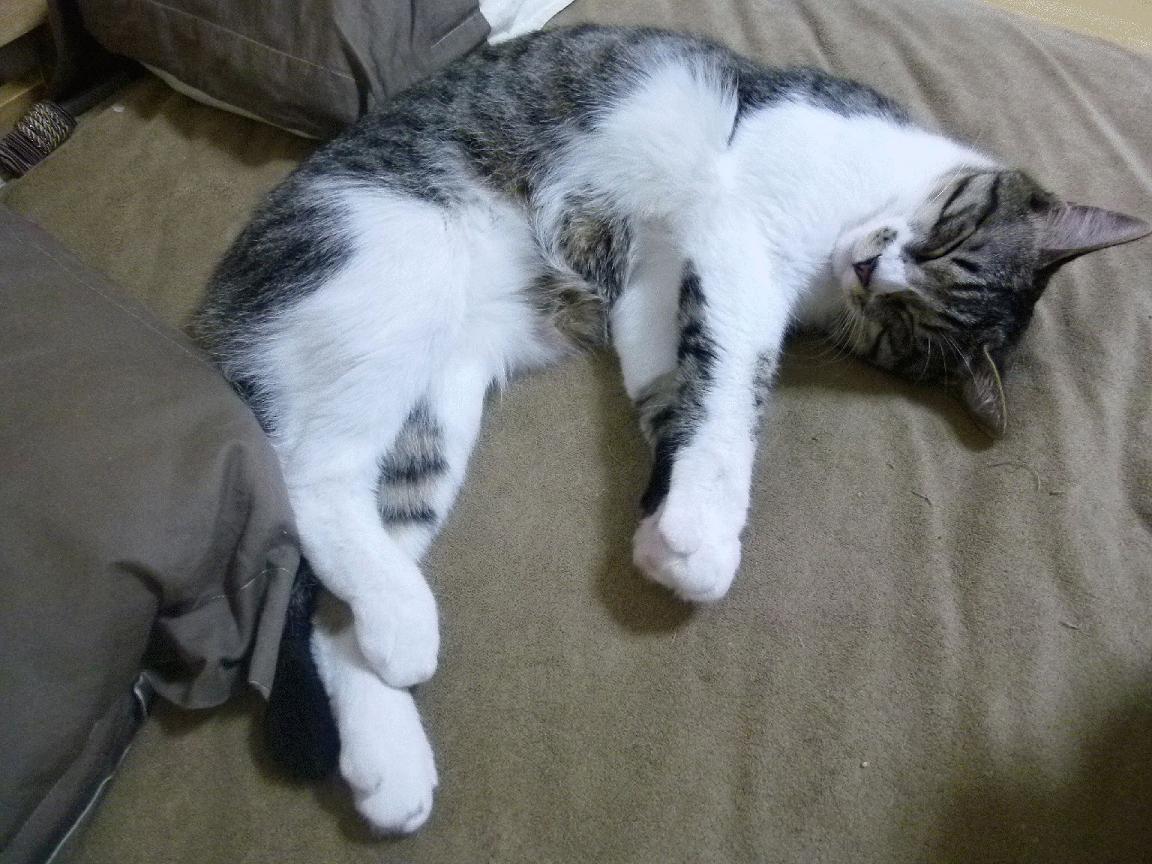 平凡之夜的唯一英雄,英格拉姆与他的不朽四十六分钟