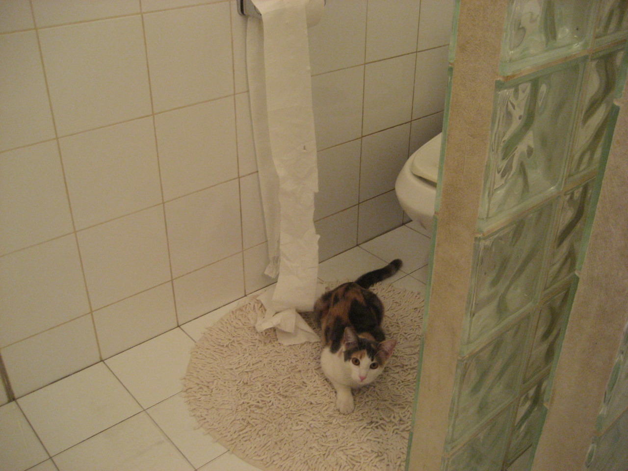 虚拟世界杯决赛，美国5-3击败中国，姆巴佩关键先生定律跨越国界