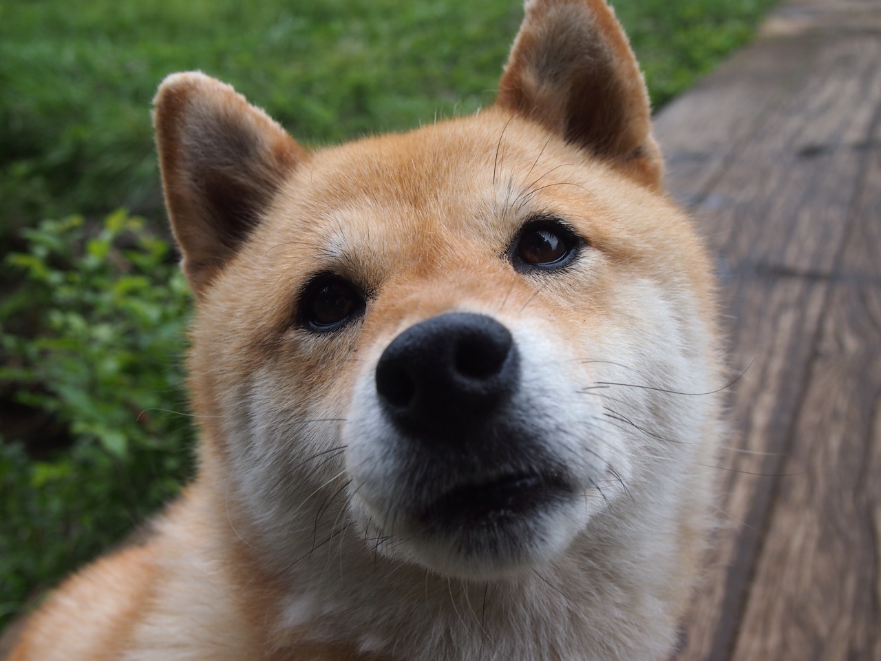 劳塔罗独揽风头，西班牙火力全开压制安哥拉取胜