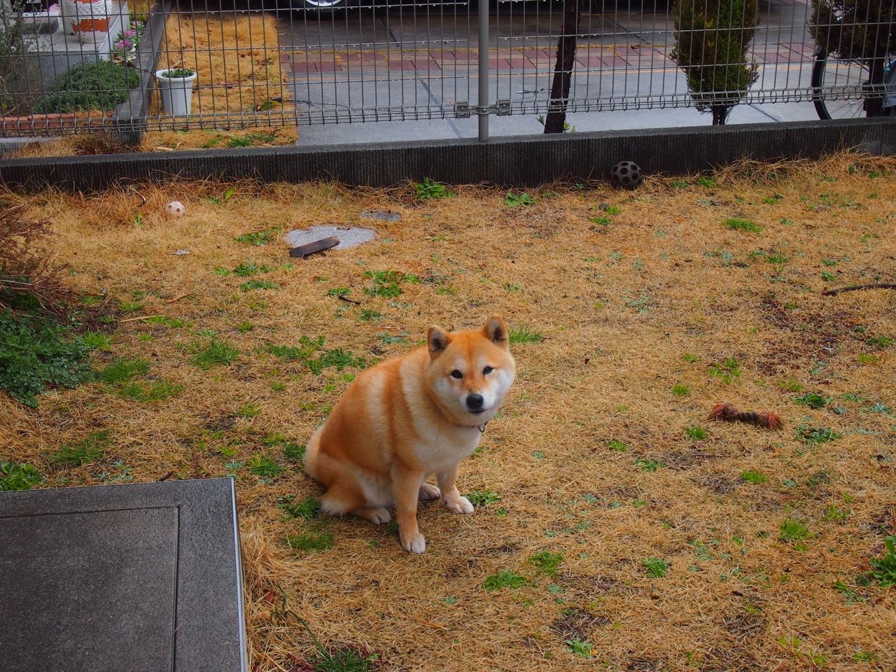 惊天逆转！亚特兰大绝境翻盘，基耶萨关键先生导演奇迹之夜