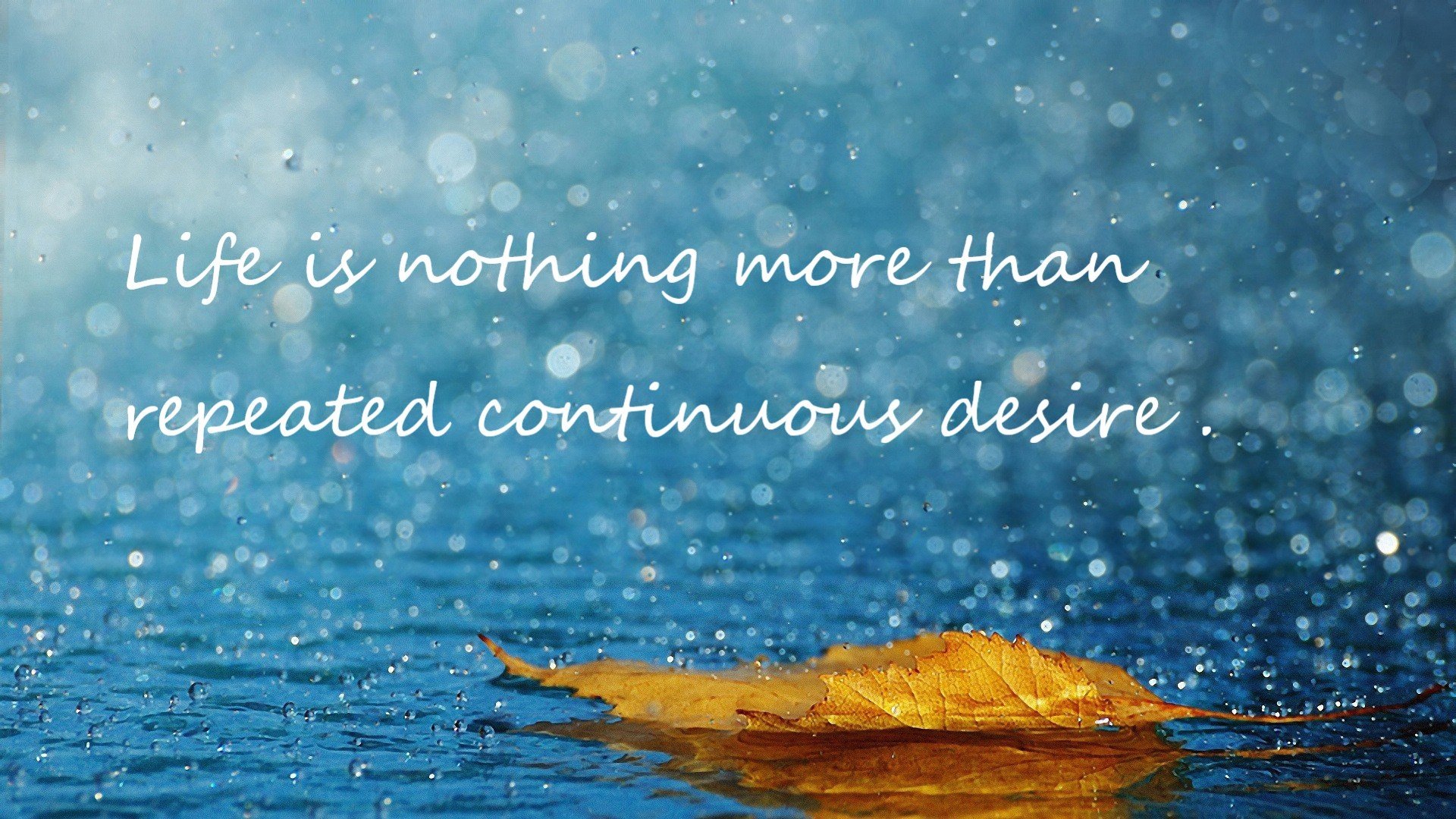 黄喜灿化为战术支点，乌克兰用音乐战争窒息喀麦隆