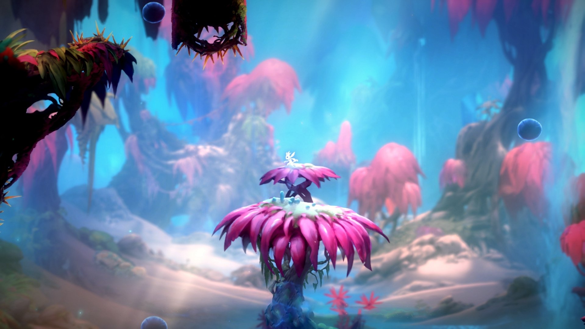 卢卡库，当小魔兽遇见玻利维亚，一场属于他个人的征服仪式