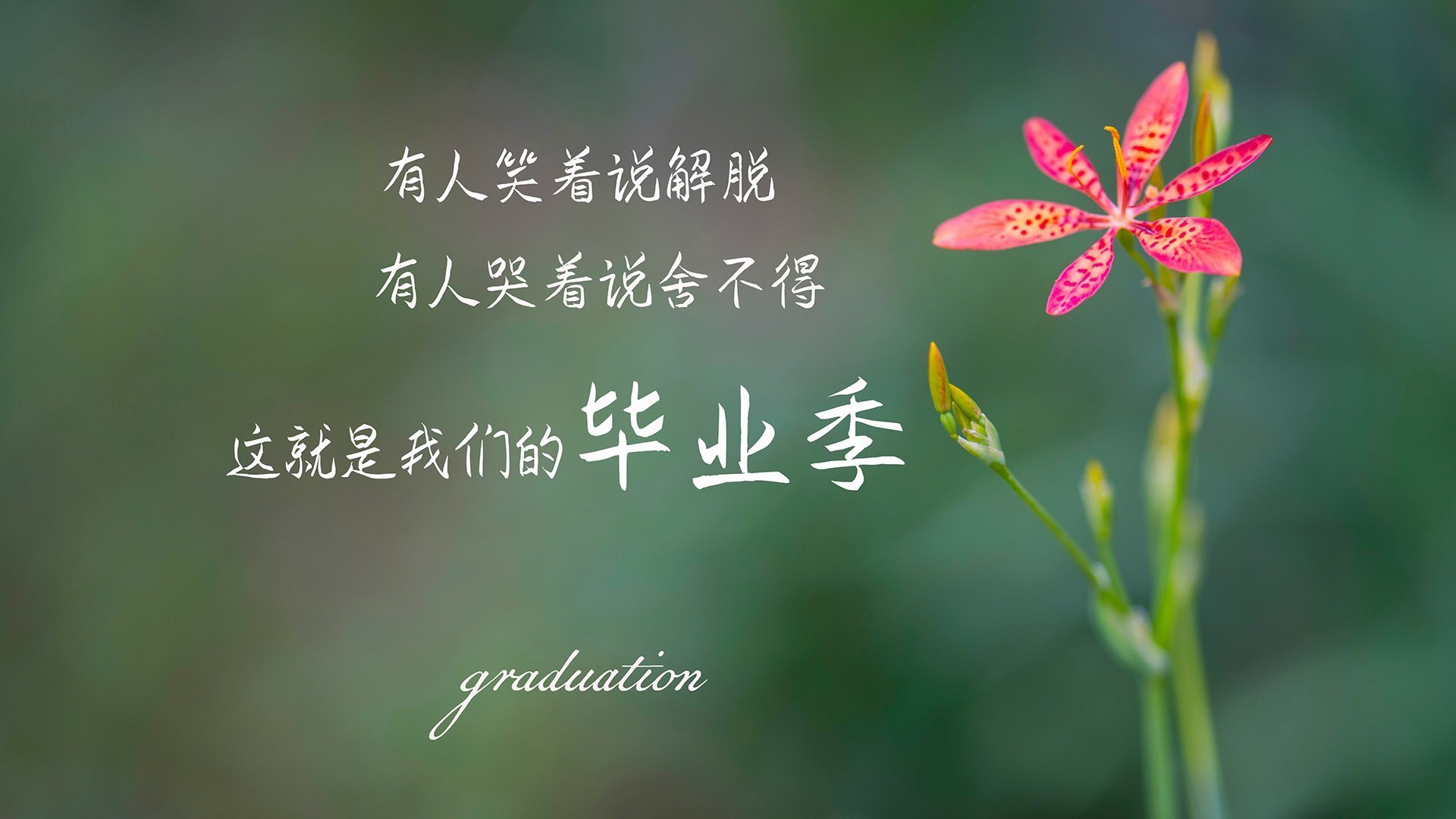 冰雪奇缘与热带风暴，2026世界杯，芬兰vs印度，佩德里导演惊天逆转，门神铸就历史