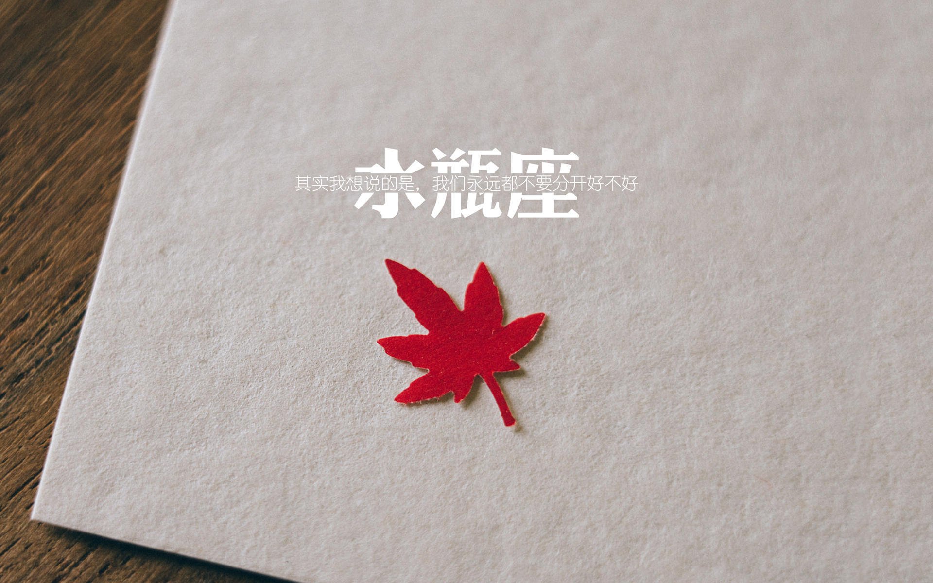 一场注定孤独的守望,2026世界杯H组,库尔图瓦如何用双手改写斯洛伐克与伊朗的命运线