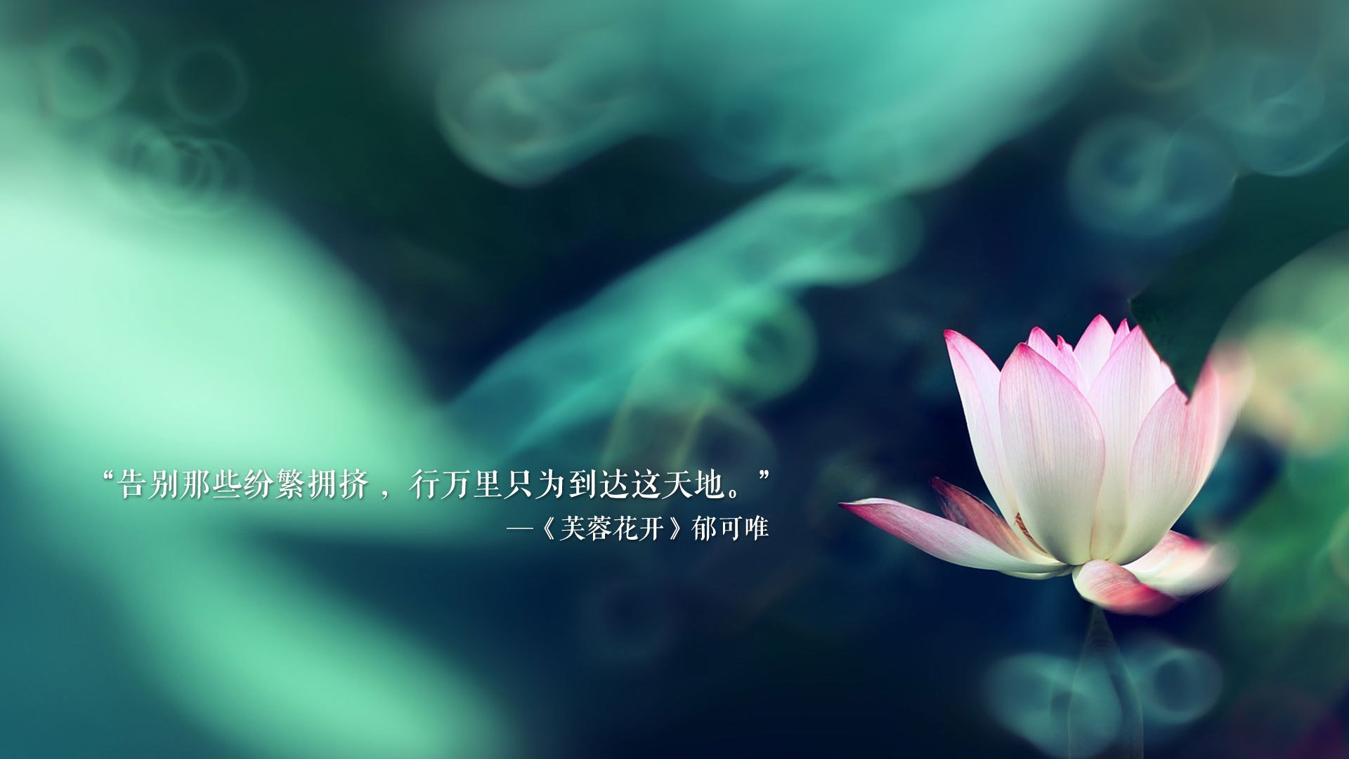 孤星耀世,当波兰铁骑踏碎喀麦隆,京多安在2026B组刻下唯一传说