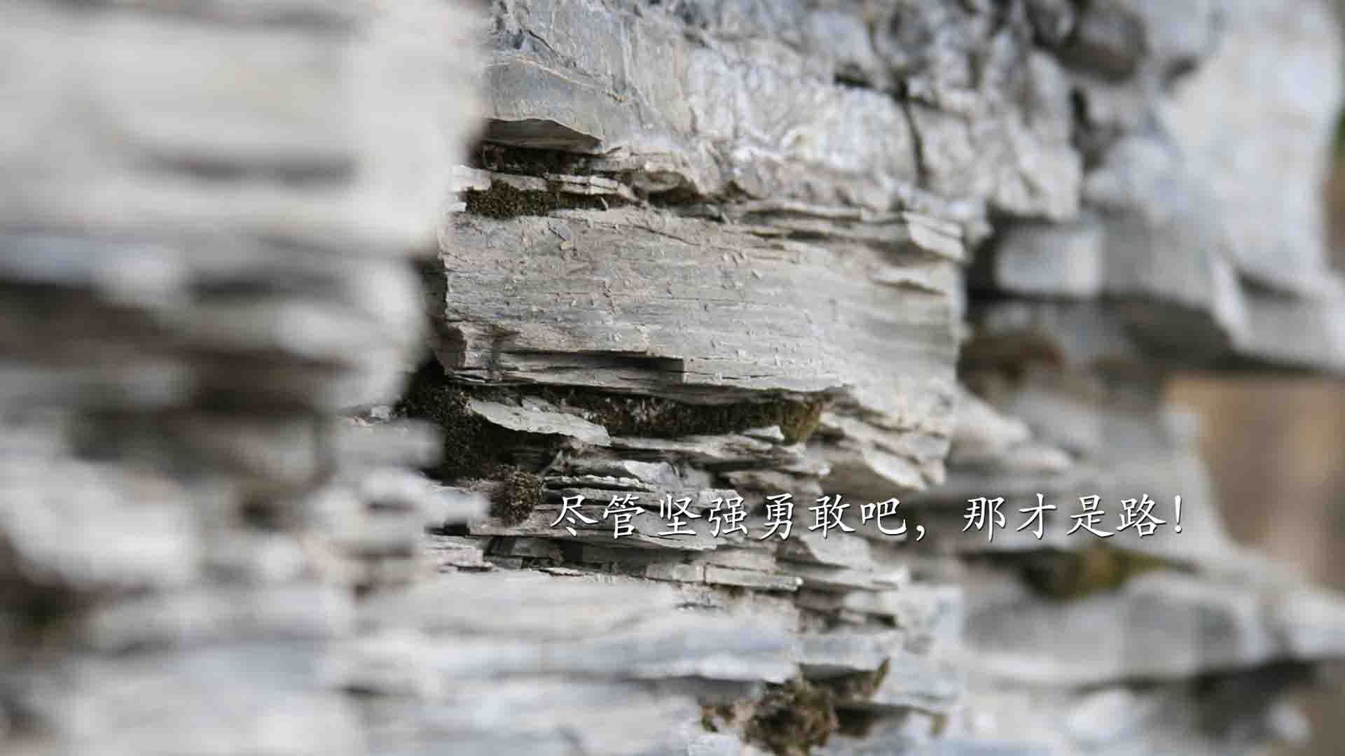 沙漠之鹰折翼，黑星闪耀，加纳用一场冷血逆袭，为2026世界杯写下最狂野的注脚